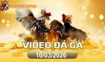 img video da ga cpc4 1773187352